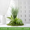 Simulação Plantas Verdes Paisagismo Plantas Artificiais Musgo Verde Musgo Verde Micro Paisagem Combinação Decoração de Interior Janela Corredor Exibição Decoração