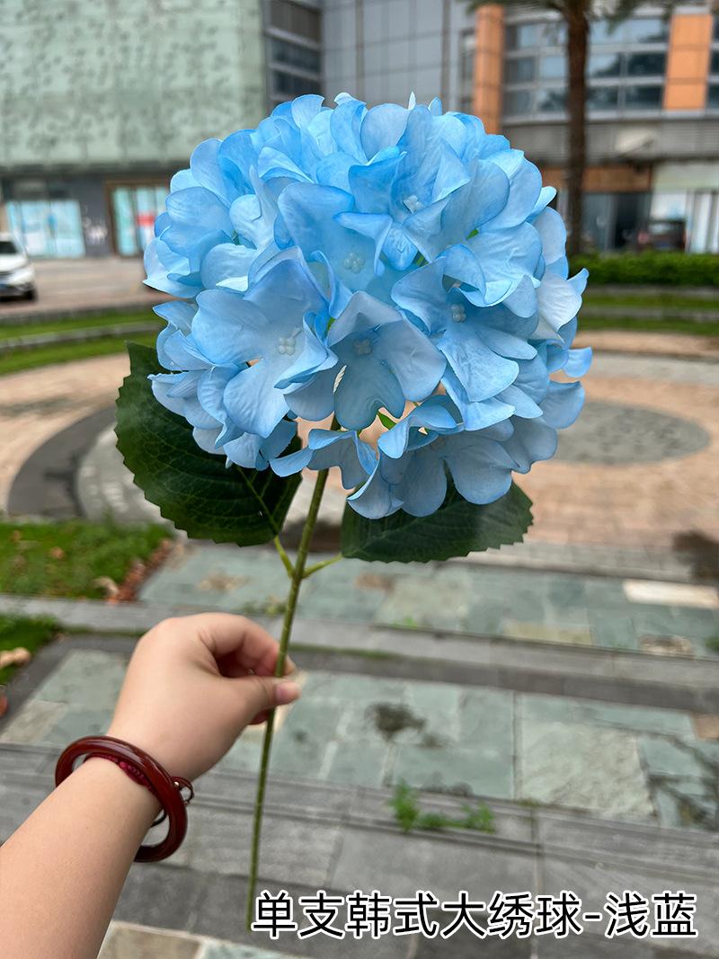 7.单支韩式大绣球-浅蓝