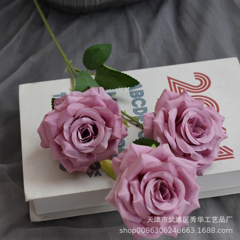 卷边玫瑰紫色