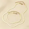 Colar de Corrente de Osso de Cobra Dourado Moda Europeia e Americana Transfronteiriça para o Dia a Dia Pulseira de Corrente de Cobra Plana Versátil Conjunto de Joias Conjunto de 2 Peças para Mulheres