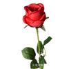 Grande Venda Rosa Concubina Imperial Artificial Seda Flor Artificial Casamento Casamento Decoração de Casa Sentir Buquê Parede de Flores Atacado