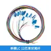 Cabo de Fibra Óptica Patch Cord Monomodo de Grau Telecom, Pigtail de Feixe de 12 Fibras, Cabo de Fibra Óptica de 12 Cores, Pigtail LC, Fibra Óptica de Porta Quadrada Grande