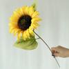 Simulación de Producto Nuevo Girasol Diseño Hotel Estudio Fotográfico de Bodas Atrezzo para Fotos Flores Secas Sentido Avanzado Flores DIY Flores Falsas
