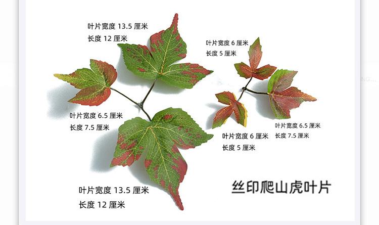 5050植物墙详情页21