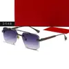Nuevas Gafas de Sol Poligonales Casuales de Moda, Estilo Celebridad, Gafas de Sol Modernas y Geniales para Hombres y Mujeres 3148