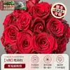 Flores Que Florescem por Muito Tempo e São Fáceis de Cultivar, Lírios, Sino dos Ventos, Flores de Corte Frescas, Plantas Hidropônicas de Cabelo Reto de Yunnan, Rosas, Arranjos de Flores de Interior