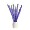 Caña Blanca Venta al Mayoreo Caña Pequeña Pastizal de Pampa Color Caña Flor Eterna Amazon para Flor de Caña Venta al Mayoreo