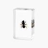 Resina de Venta Caliente Transfronteriza Muestras de Insectos Reales Araña Escorpión Saltamontes Regalo de Recompensa para Estudiantes de Primaria Regalo Artesanal