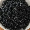 Grãos Múltiplos e Cereais Diversos Enfeites Decorativos Materiais Artesanais Comida Falsa Uvas Feijões Mungo Frutas Secas Modelo de Arroz Adereços