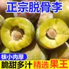Ciruelas Rojas Crujientes Deshuesadas Auténticas de Sichuan, Ciruelas de Tierra Verde, Frutas Frescas, Ciruelas Yinghong de Temporada, Azúcar con Miel, Venta al por Mayor de Wenchuan