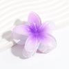 Acessórios de Cabelo Perolados Mais Vendidos no Exterior, Conjunto de Presilhas de Cabelo Flor de Plumeria, Presilha de Tubarão Flor Colorida de Gelatina, Grampo de Cabelo