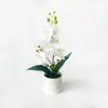 Nueva simulación de hoja de bambú 6-flor Phalaenopsis planta de escritorio en maceta decoración para hogar balcón flor artificial decoración planta verde bonsái
