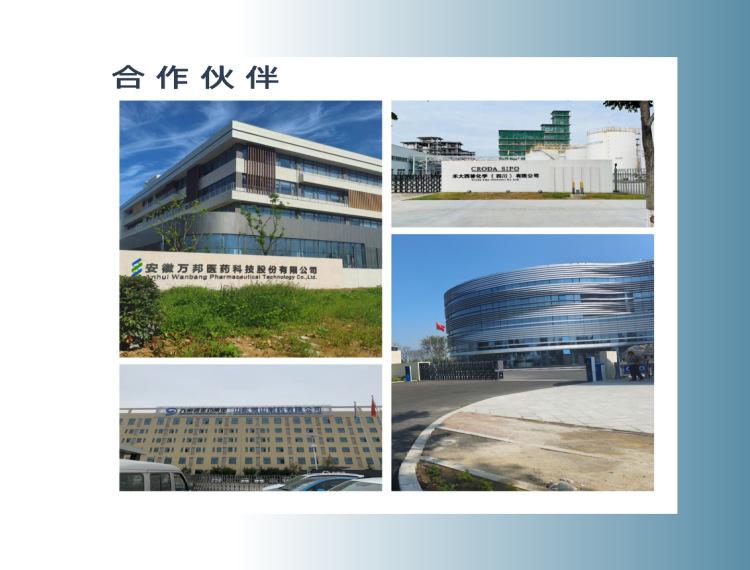 ST203B (7)