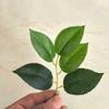 Hoja de tela adhesiva de cinco piezas planta de simulación hojas de té de simulación diy estilo Mori sensación en la mano hoja Accesorios Al por mayor