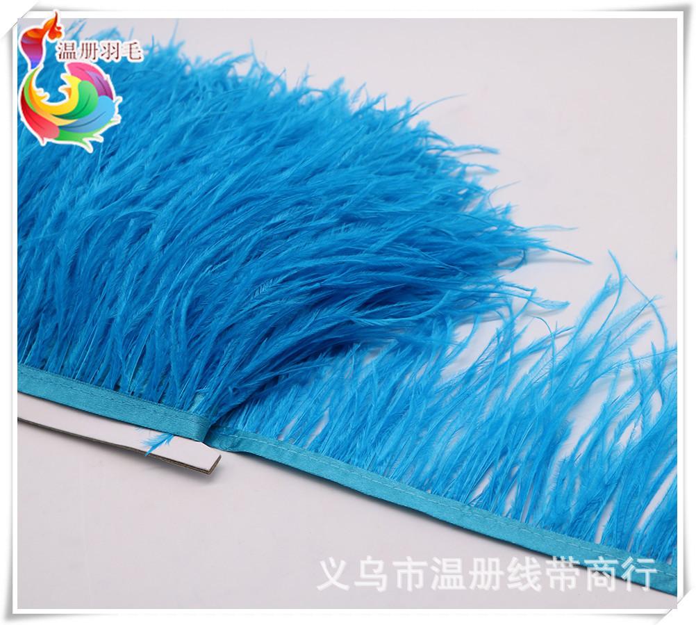 6 lake blue ostrich feather fr