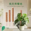 Poste Trepador Pothos Poste Trepador Pothos Soporte Fijo para Planta Soporte Fijo de Palo de Fibra de Coco Soporte de Flor con Forma