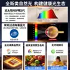 Luz de Techo para Sala de Estar Estilo Crema Cielo Estrellado Moderna Simple Nueva Romántica Acogedora Iluminación para Toda la Casa Zhongshan 184L