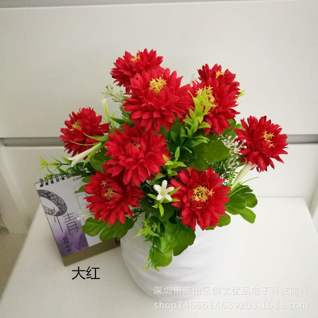 9头绿百合海葵 大红1_副本