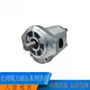 TAiwán REXPOWER Bomba de Engranajes Sharp Force RGP-2A-f08r RGP-2A-f09r RGP-2A-f11r