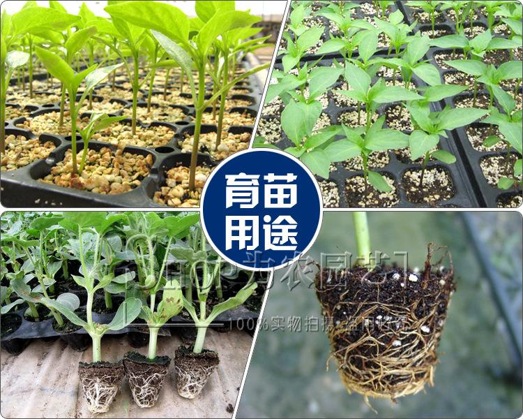 45 拷贝