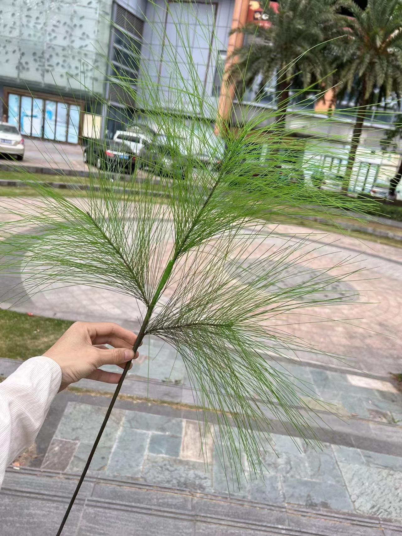 微信图片_20230324192317.jpg