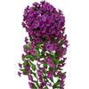 Vinha de Glória da Manhã Artificial de 12 Galhos Montada na Parede Vinha de Flores Decoração de Casamento Vinha de Teto Vinha de Flores Artificiais Pendentes Planta Verde