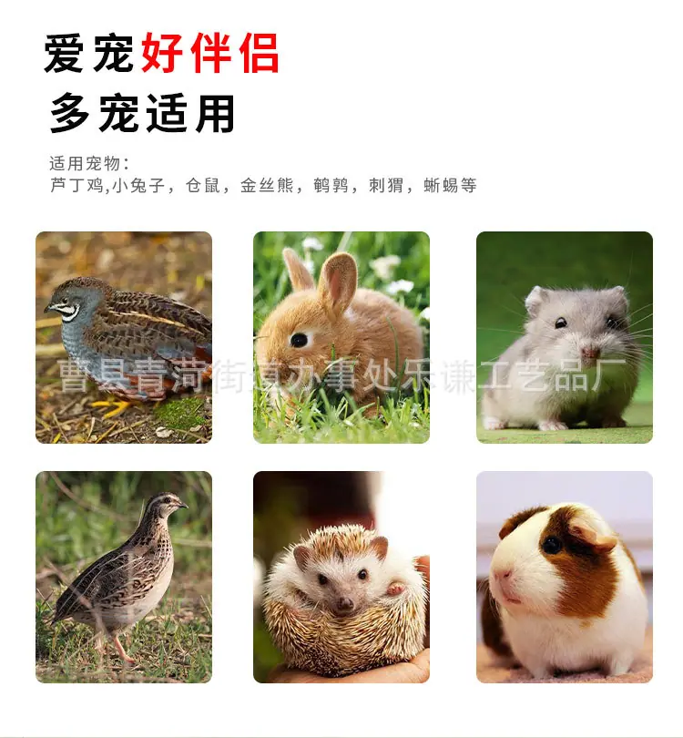未标题-详情页_05.jpg