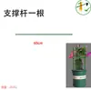 Orquídea Garra de Caranguejo Pode Ser Empilhada Infinitamente com Suportes de Flores, Emendada em Anéis de Suporte Multicamadas, Treliças, Acessórios de Hastes de Suporte Anticolapso