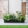 Hc-Cd3 Arreglo de Macetero de Flores de Planta Verde Simulada Combinación de Partición de Plantas Decoración de Paisajismo con Flores Artificiales Flores Falsas