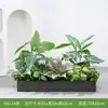 [Serie Y80] Decoración de Partición de Planta Verde Simulada Macetero Maceta Valla Paisajística de Plástico Biónico Diseño