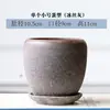 Maceta de Cerámica Personalizada con Plato, Forma de Huevo, Tamaño Grande, para Plantas Verdes de Interior como Potos, Planta Araña y Suculentas, para Uso en Casa