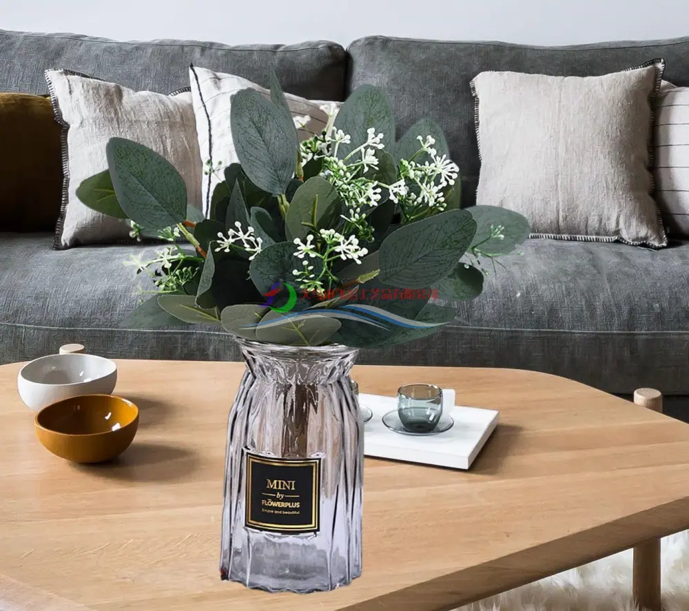 主图_Eucalyptus_Leaves_With_Frui