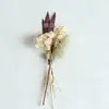Mini Ramo de Flores Secas Naturales Tarjeta Decoración Material DIY Accesorios para Caja de Regalo Recuerdo Ramillete Amazon Transfronterizo