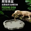 Lagarto Dragão-Barbudos Rocha de Imitação Plástico Tigela de Comida Sapo Cornudo Cobra de Estimação Bacia de Banho Bacia de Água Rasa Tigela de Comida para Répteis