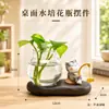 Novo ornamento de pesca de gato para decoração de mesa de escritório, garrafa de vidro hidropônico, presente criativo, pequeno ornamento de mesa