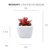 En existencia Simulación Carnosa Planta en Maceta con Forma de Corazón de Loto de Gran Altura Decoración de Escritorio Regalo Mini Planta Verde Bonsái Planta de Simulación TEMU
