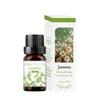 Comercio exterior transfronterizo aceite esencial de aromaterapia soluble en agua humidificador piedra expansora aceite esencial interior armario ambientador incienso fresco