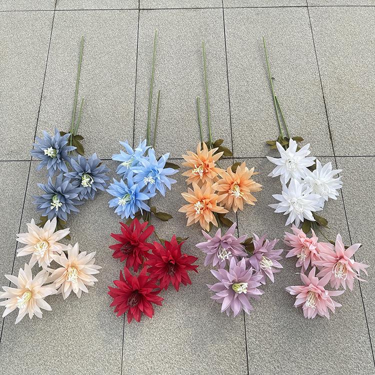 主图 花溪谷.JPG
