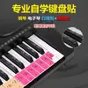Piano órgão eletrônico universal 88/61/54 teclas coloridas cinco linhas espectrais adesivos de proteção de teclado adesivos fáceis de lembrar para iniciantes