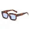 Gafas de sol Jamie 5205 con Montura Cuadrada Nueva, Gafas Decorativas de Plástico a la Moda, Gafas de Sol Pequeñas de Montura Tendencia Europeas y Americanas
