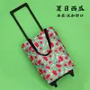 C Remolque de Suministro Especial Transfronterizo Carrito de Mano Plegable para Uso Doméstico, Herramienta para Compras de Supermercado de Personas Mayores, Bolsa Carrito de Compras Portátil para Supermercado