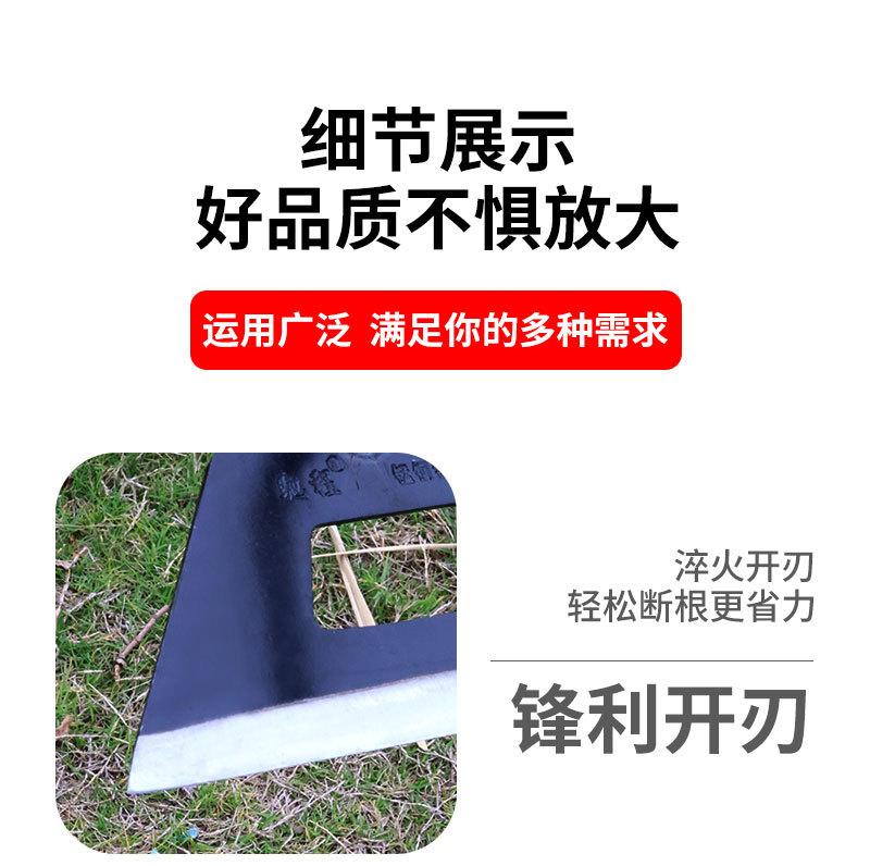 未标题-1_08.jpg