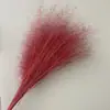 Flores Preservadas de Color Rojo para Arreglos de Boda, Salas de Exposiciones de Hoteles y Escaparates; Fábrica Mayorista de Materiales para Flores Preservadas