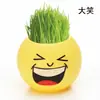 Jardinagem com íons negativos cabeça de grama longa boneca expressão fria musgo micro paisagem bonsai grama DIy plantio presente