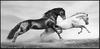Arte Animal Caballo Oscuro Caballo Blanco Pintura en Lienzo Mural Póster Arte de Pared Dormitorio Sala de Estar Pintura Decorativa Moderna