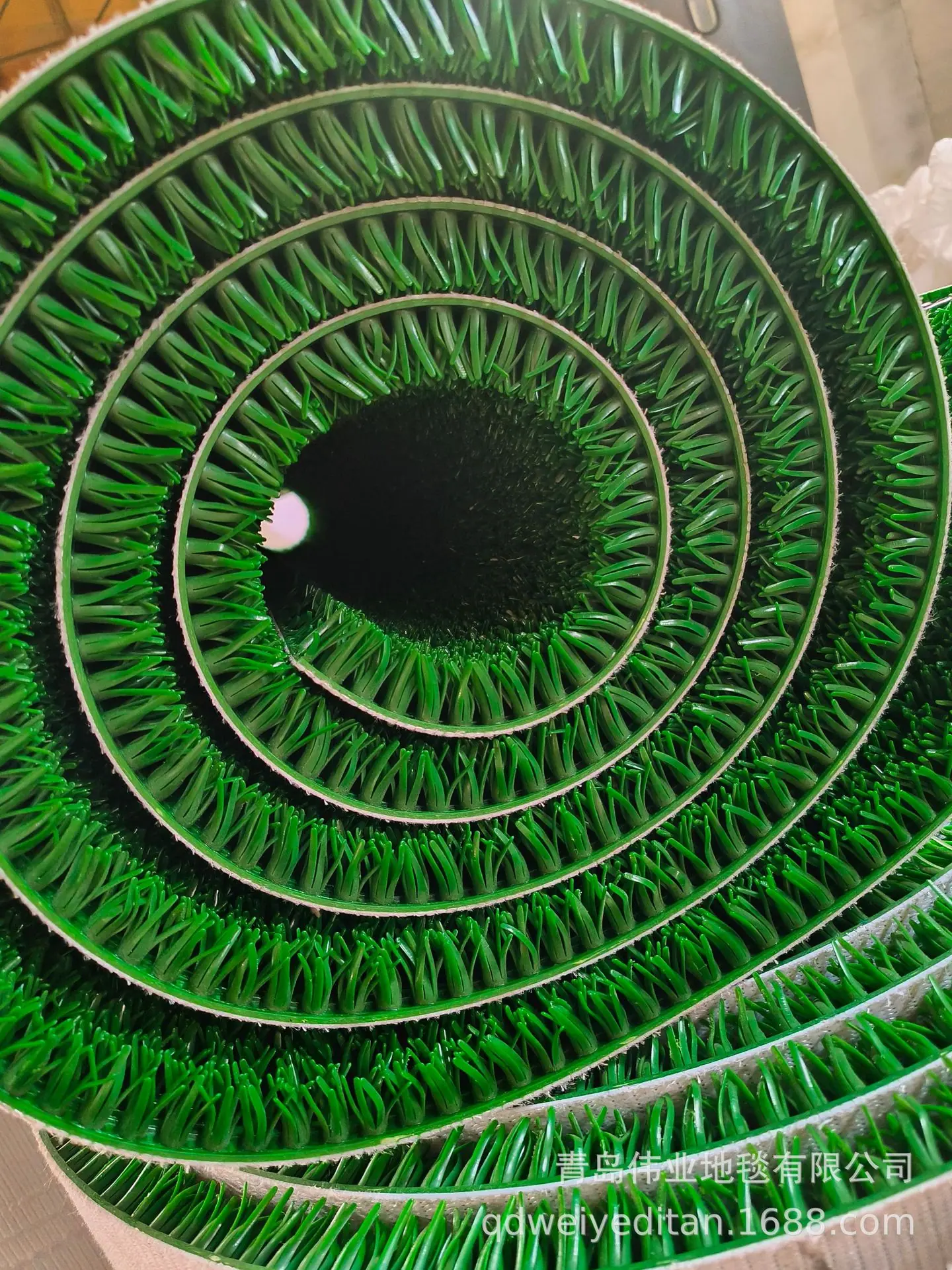 淘金草