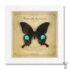 Espécime de Borboleta Real Pintura Decorativa Pingente de Mesa de Madeira Enfeites para Casa Estilo Nórdico Feito à Mão DIY Itens para Presente de Aniversário