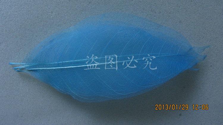 A027橡胶叶脉(40)