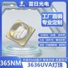 3636 Uva Perlas de Lámpara UV, Chips de Diodo Emisor de Luz Empaquetados en Cerámica, Curado UV, Impresión, Detector de Dinero, Fabricante de Perlas de Lámpara LED