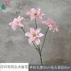 Tela Estampada Flor Artificial Dahlia de Cuatro Cabezas, Lirio Pequeño de Cuatro Cabezas para Decoración de Boda, Accesorios de Boda, Accesorios de Fotografía, Flor de Seda